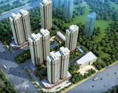 項(xiàng)目 項(xiàng)目